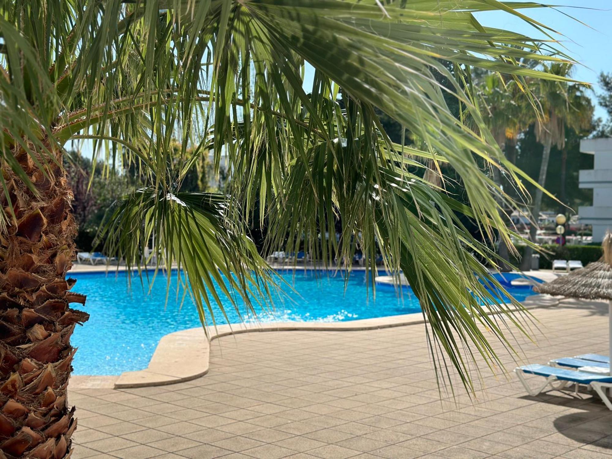 Family Relax Apartment Alcudia  Eksteriør billede